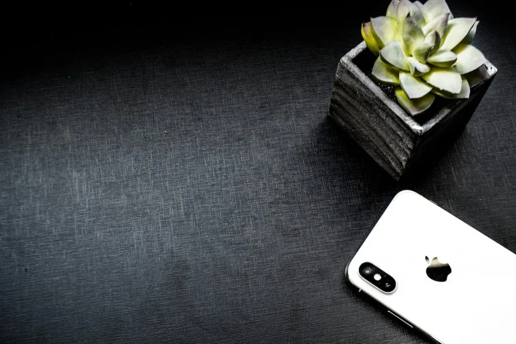 Etui skórzane iPhone X - zalety