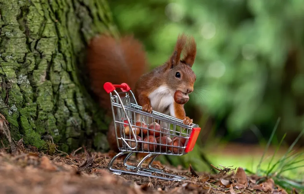 Wózek sklepowy wypełniony produktami spożywczymi i opakowaniami zbiorczymi w hali hurtowni Makro.